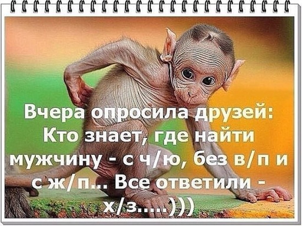 Картинка ищу мужа