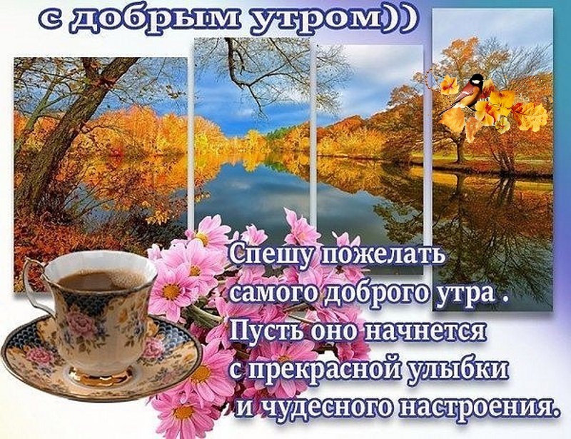 Картинки С Добрым Утром Красивые Движущиеся Осенние