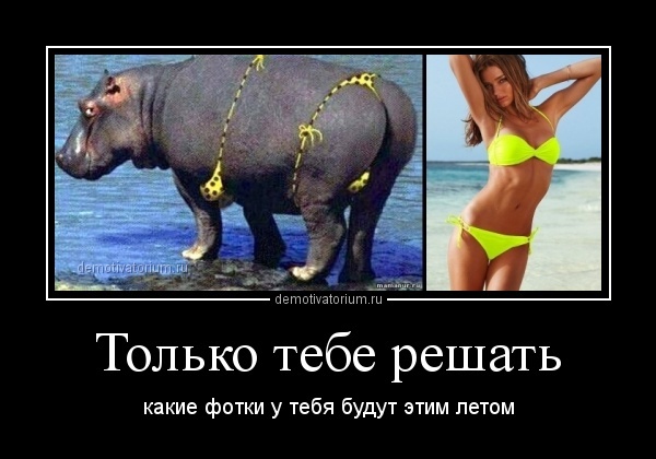 Демотиватор Похудеть К Лету.