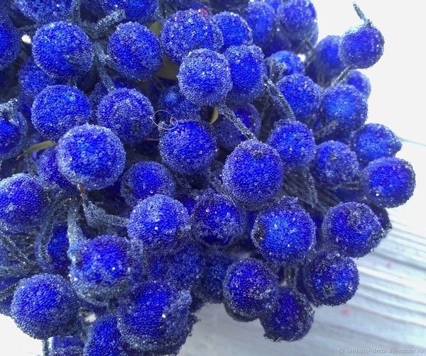 Синий тут. Синие ягоды. Синие вещи. Ягода синяя круглая. Зимние ягоды синие.
