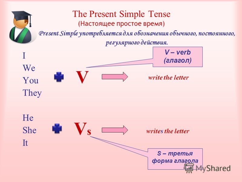 Present Simple Tense with Examples Study amp Exam