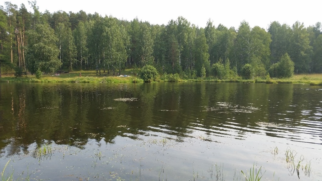 Соколовка верхняя пышма. Соколовка Свердловская область. Деревня Соколовка Свердловская область. Лагерь поселок Соколовка.