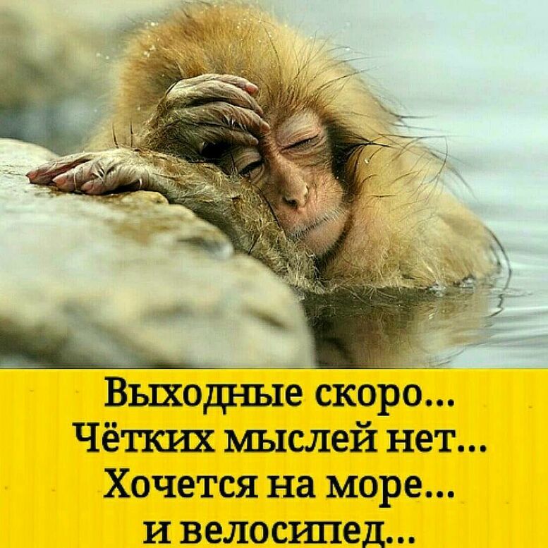 В субботу на море