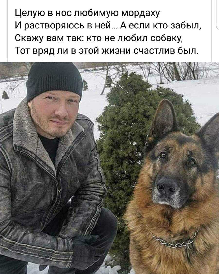 Собаки лучше людей