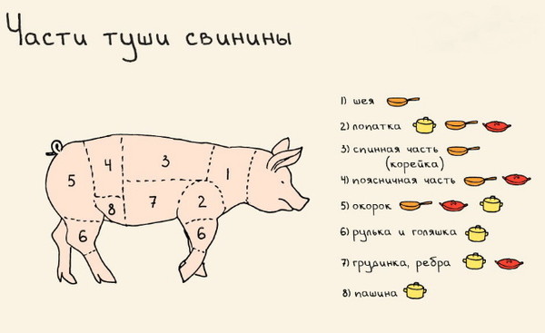 Правила разделки туш