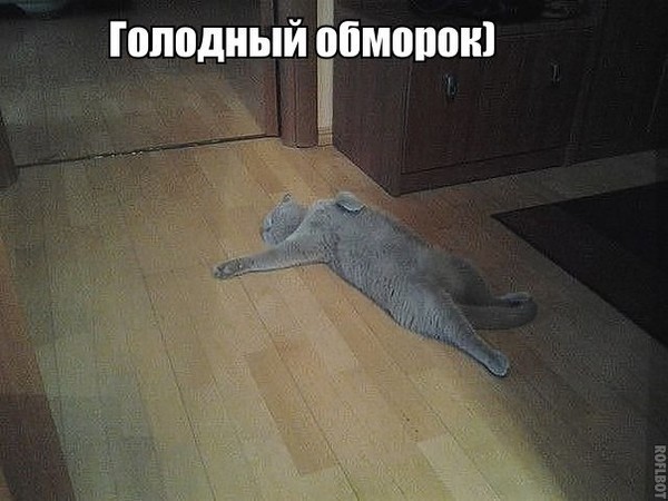 Упала в обморок прикольные картинки