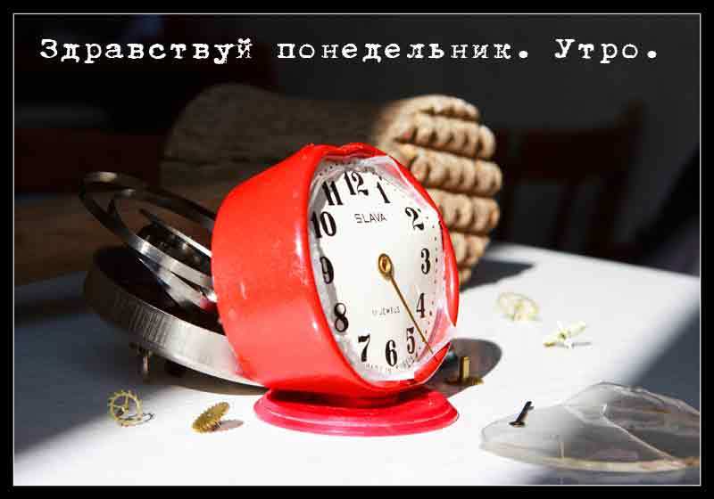 Надписями мой, понедельник начинается картинки прикольные утро