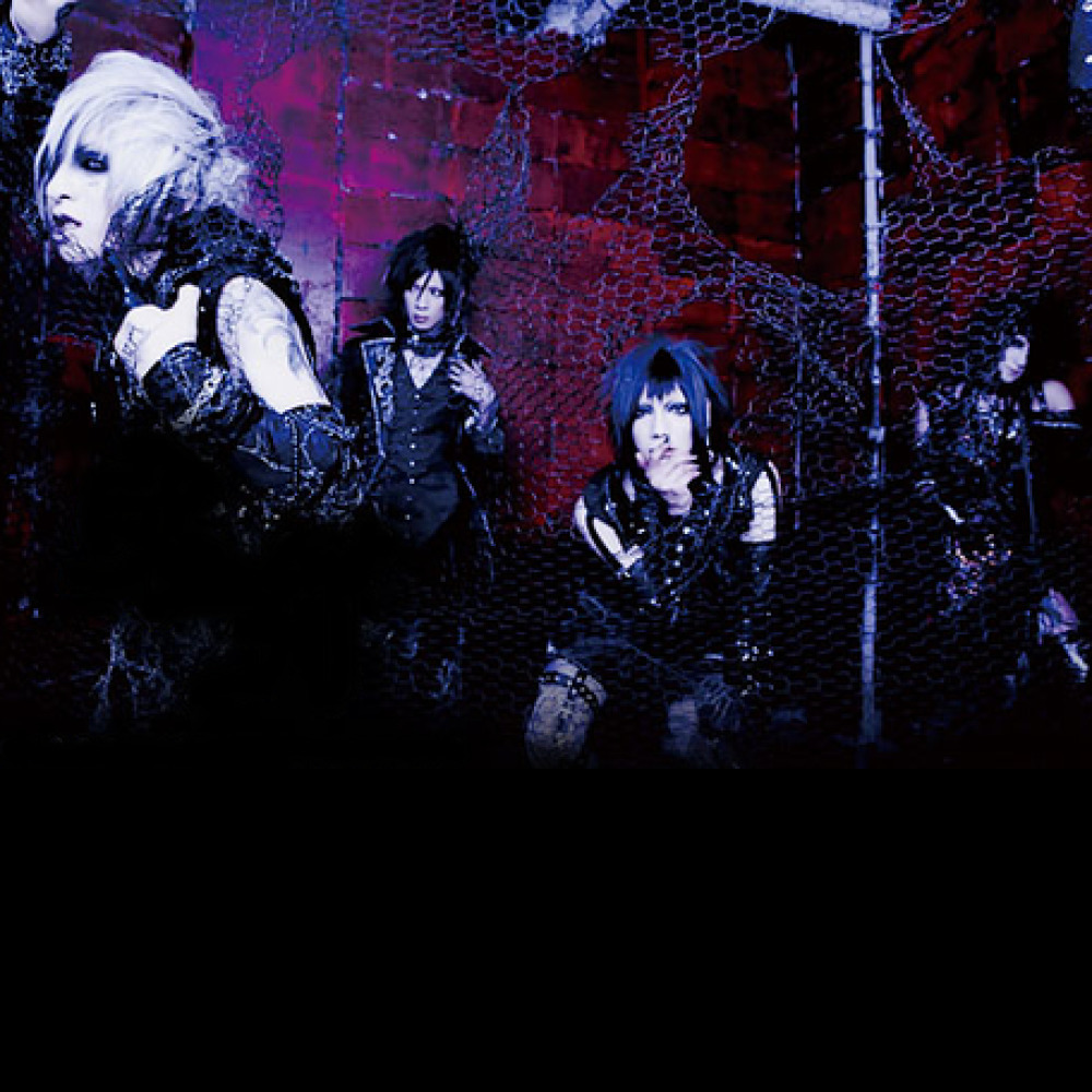 Nega. Nega Visual Kei. Nega (40 штук). The Black Swan j Rock. Negashep Art.