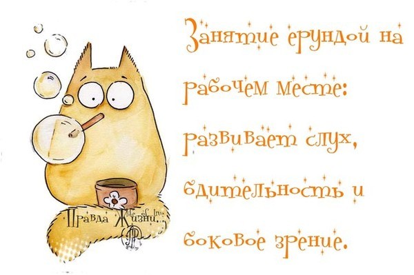 Веселые картинки для поднятия настроения с надписями о жизни, поздравление свадьбой