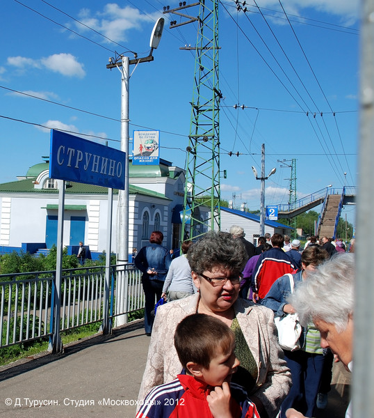 Электрички лось арсаки сегодня