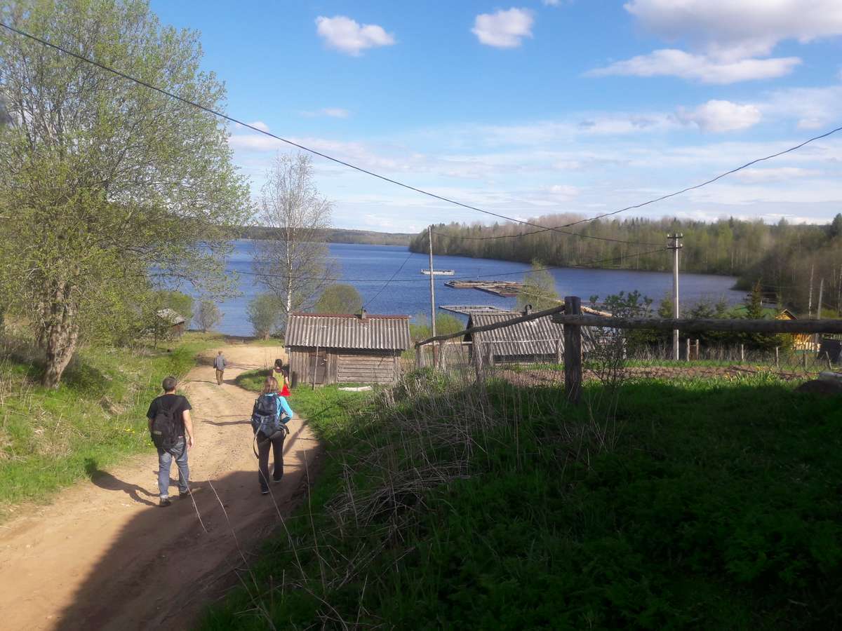 Харагеничи тихвинский район фото деревня