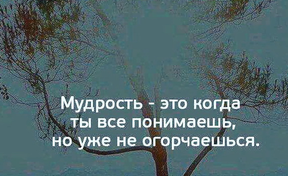 Картинки мудрость это когда все понимаешь но уже не огорчаешься