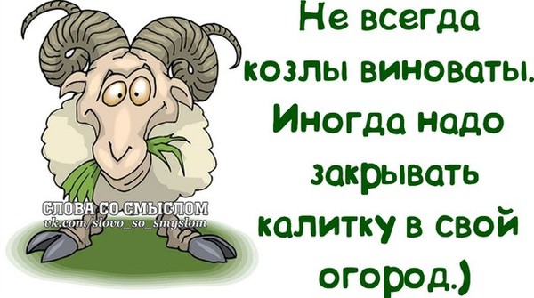 Надо закрой. Анекдот про мужиков Козлов. Юмор про Козлов. Юмор о козлах. Юмор муж козёл.