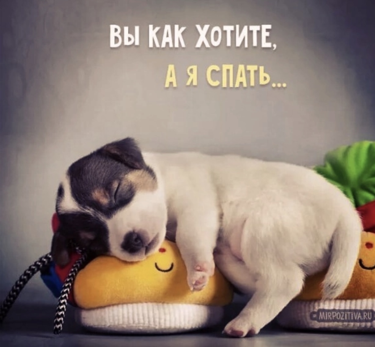Баю бай картинки прикольные