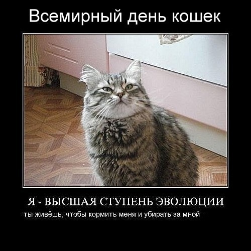 false
