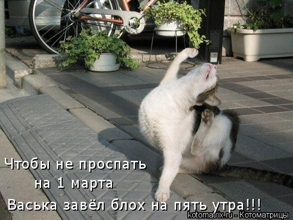 false