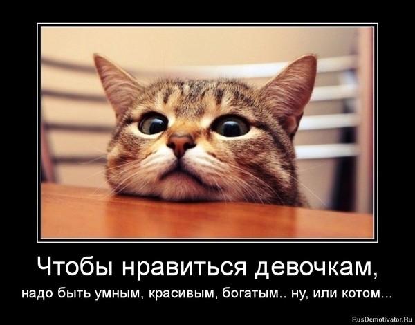 false