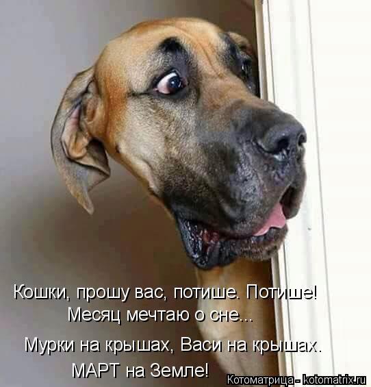 false