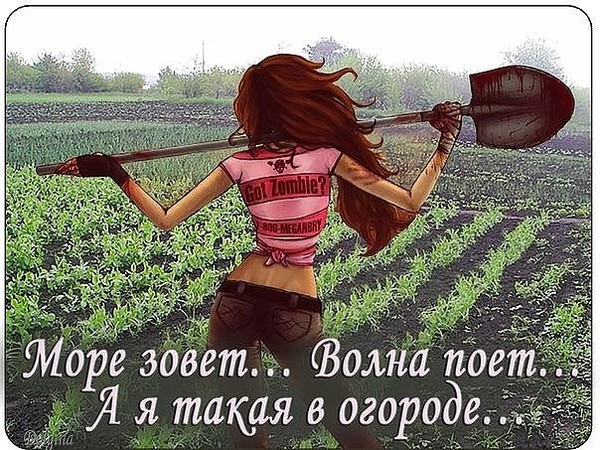 Музыкальная открытка, прикольные картинки о работе на огороде