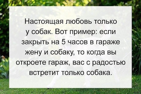 Мама ты кого хотела мальчика или девочку я просто хотела шнурки завязать