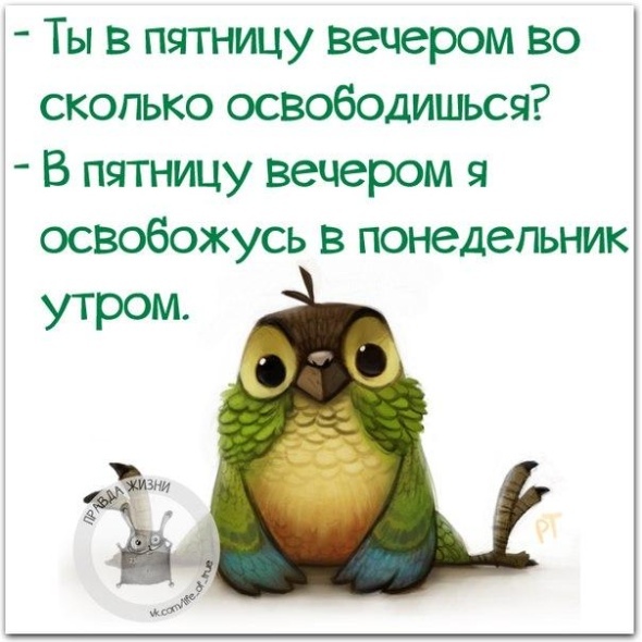 Пятница вечер веселые картинки, самых смешных